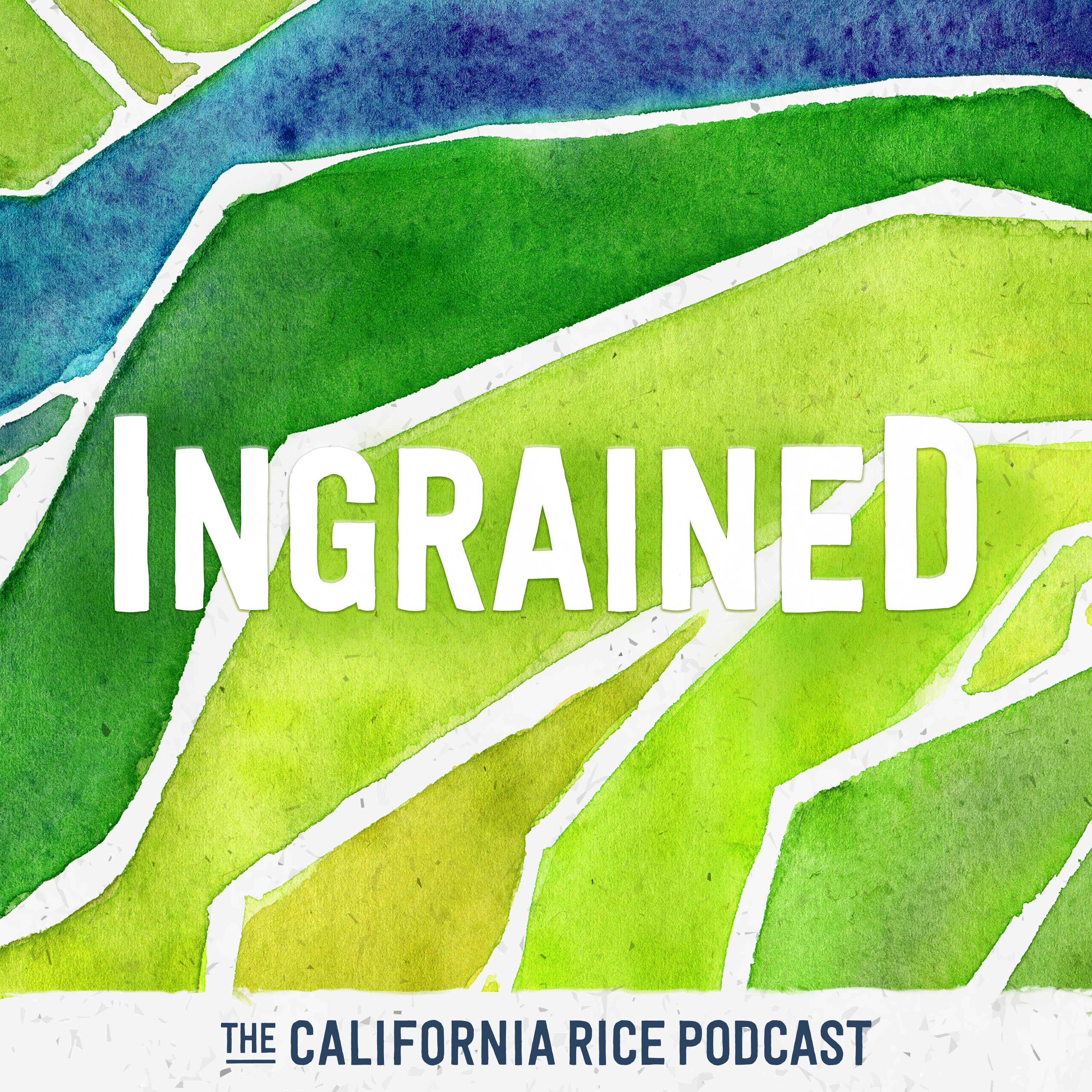 final-Ingrained-podcast artworkvalley-ingrained copy